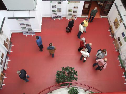 La exposición sobre el urogallo cantábrico en la Casa de Cultura Escuelas Dorado de Langreo (Asturias) 